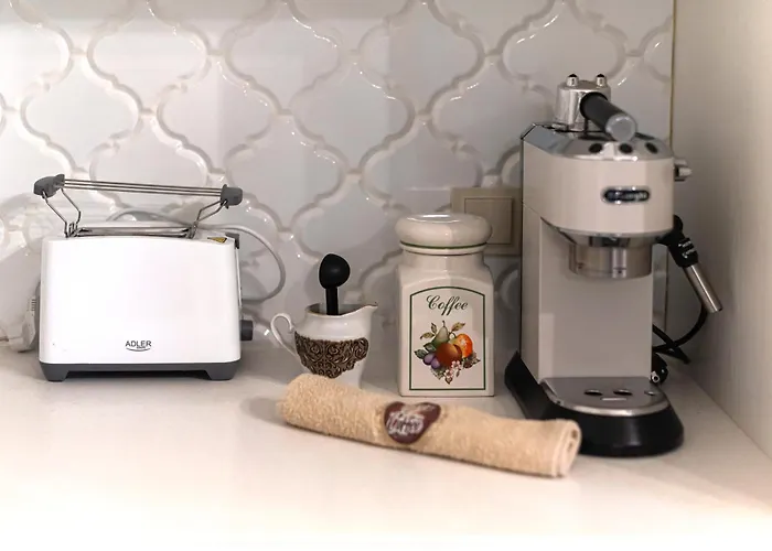 アパート Elegant Old Town With Terrace & Parking ヴィリニュス